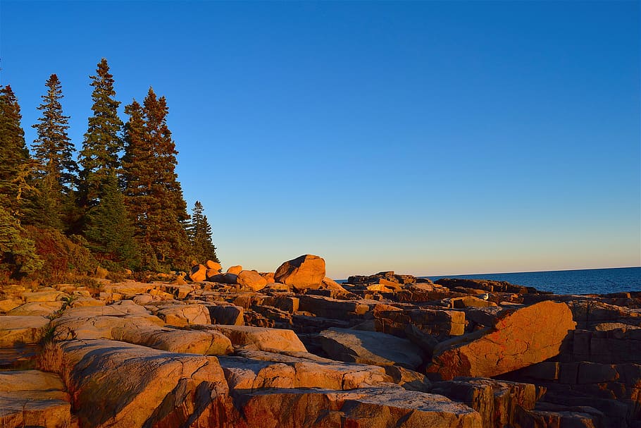 sunset, trees, rocks, pine trees, maine, nature, landscape HD wallpaper