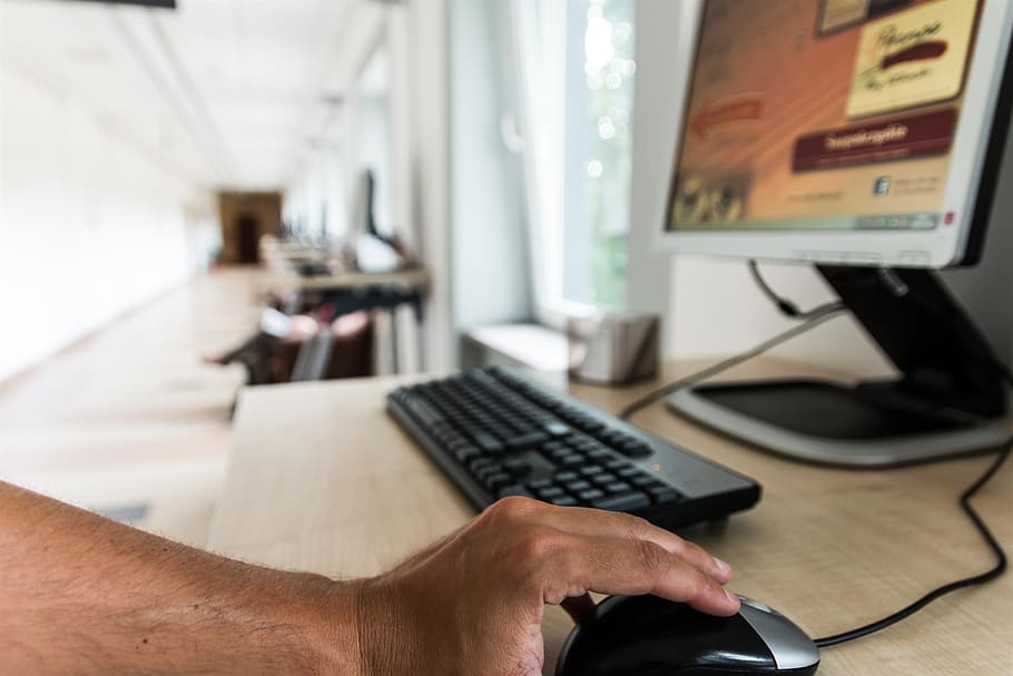 person's hand on black and gray corded computer mouse, library HD wallpaper