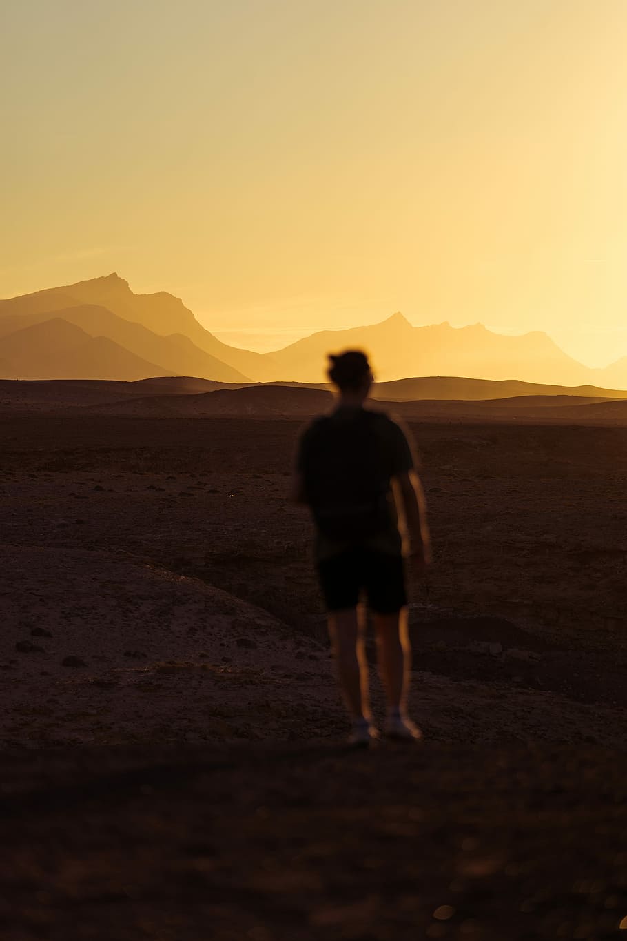 person walking on desert during golden hour, man standing on brown sand in sunset HD wallpaper