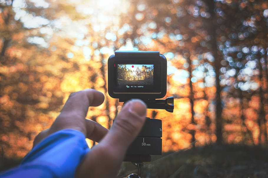 person holding activity camera, selective focus photography of person taking video of tall trees during daytime HD wallpaper