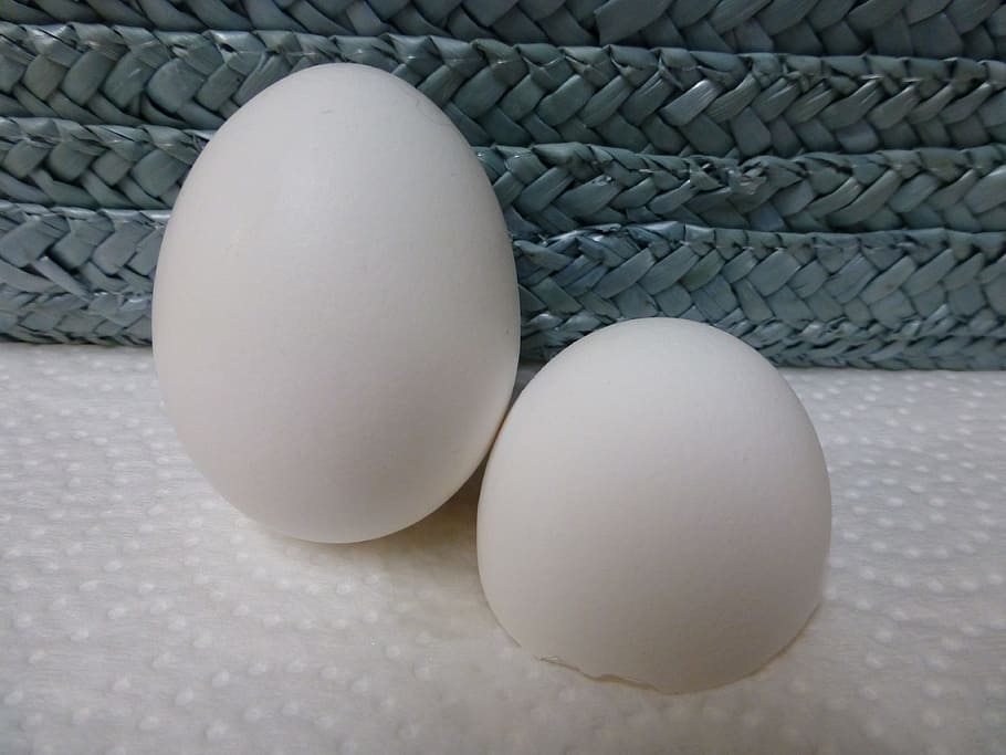 Egg, Chicken, White, Broken, Food, Farm, natural, organic, poultry HD wallpaper