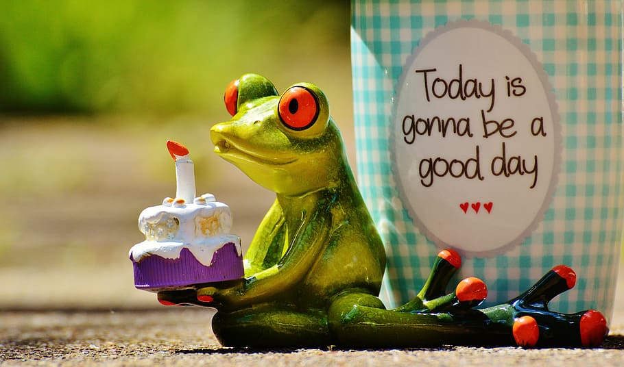 green frog figurine holding a cake, beautiful day, birthday, joy
