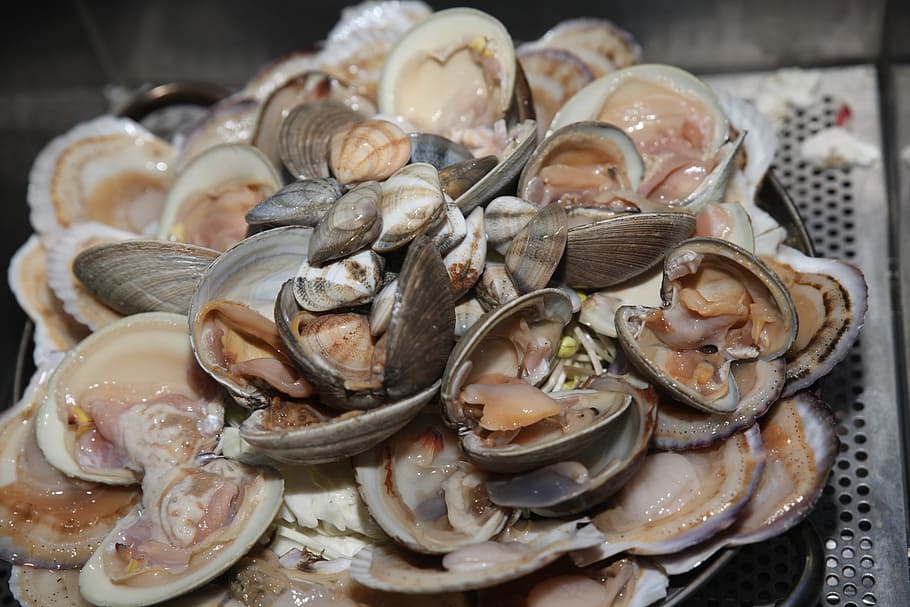 grilled shellfish, clam, lily, food, food and drink, seafood HD wallpaper