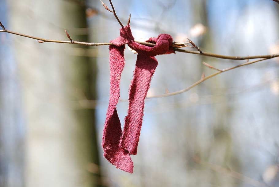 Forget, Scarf, Pink, Left, Rest, separation, loss, girl, forest HD wallpaper