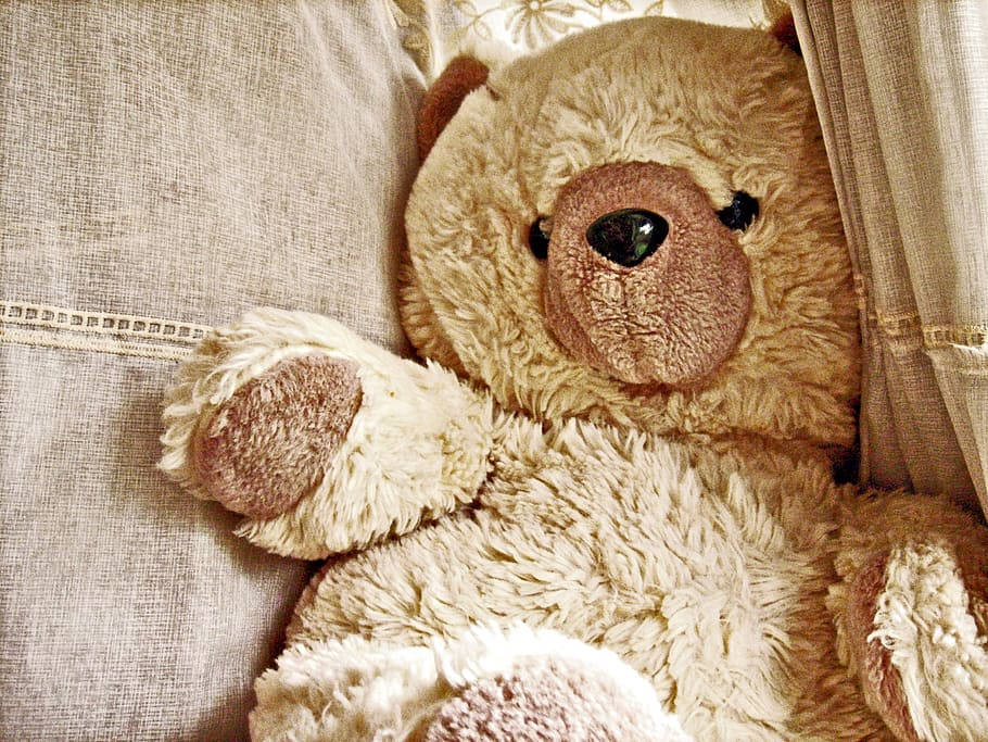 winnie, beige, doll, stuffed toy, teddy bear, animal representation HD wallpaper