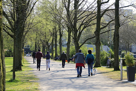 people walks at the park, path, outside, outdoor, lifestyle HD wallpaper