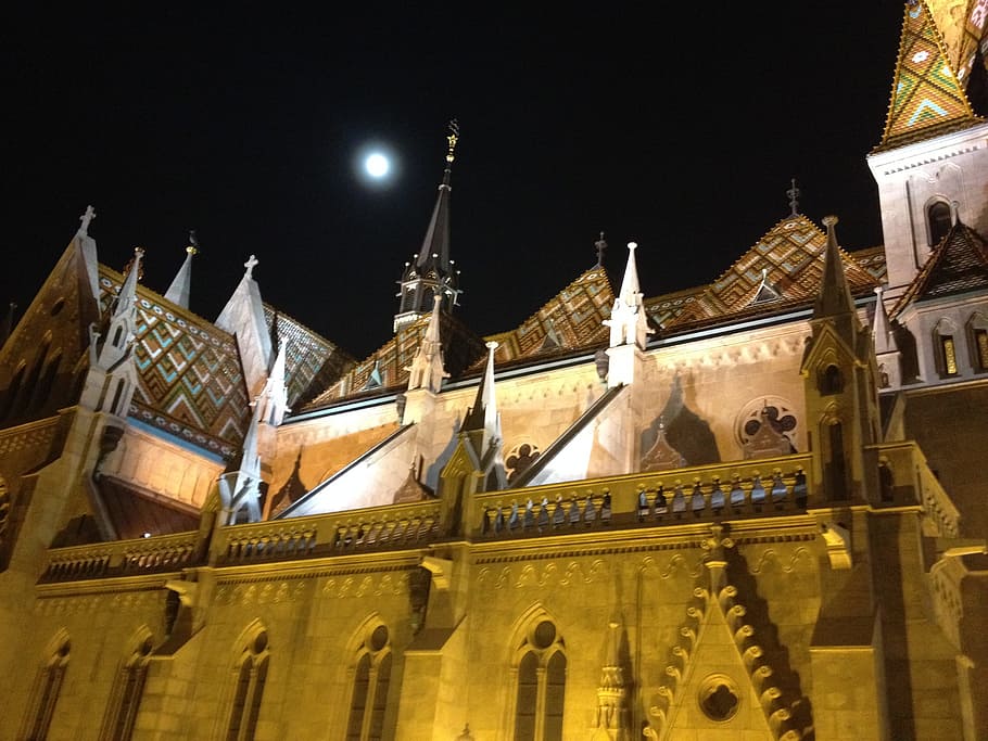 Cathedral, Budapest, Night, Hungary, architecture, building HD wallpaper