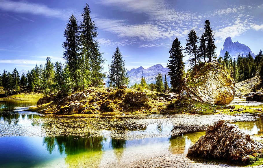 lake beside trees, dolomites, lago federa, nature, alpine, mountains, HD wallpaper