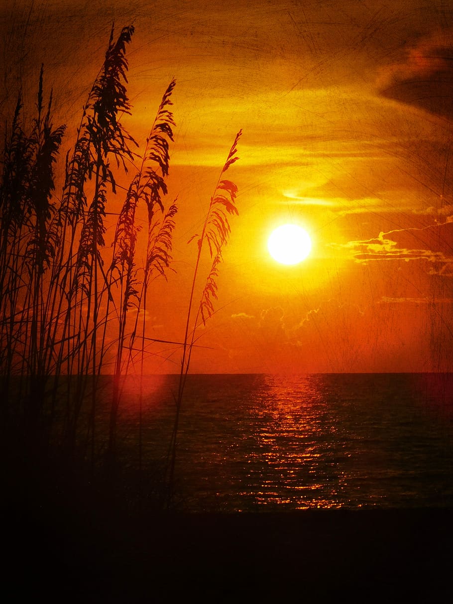 Sunset, Evening, Ocean, Sunlight, sea, nature, sunbeam, water HD wallpaper