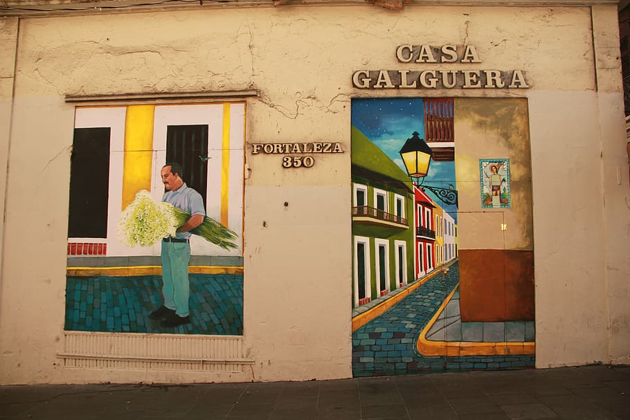 wall, painting, puerto rico, san juan, man, flowers, street, HD wallpaper