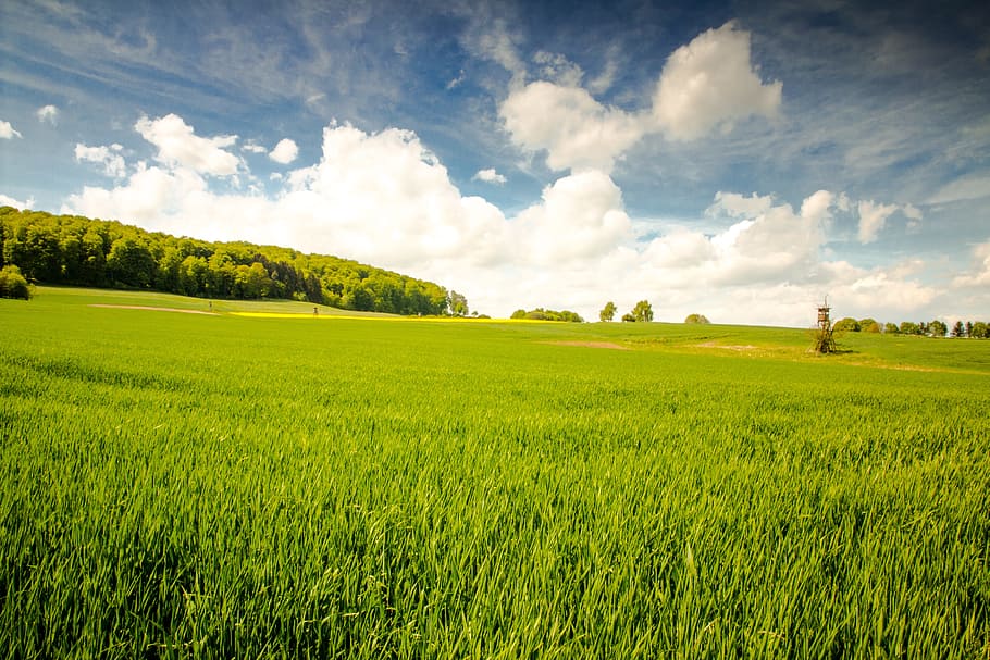 green lawn field near trees landscape photo, sky, clouds, clouds form HD wallpaper
