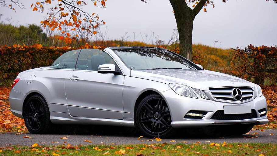 silver Mercedes-Benz convertible coup parked beside tree, car, HD wallpaper