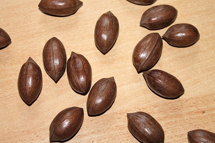 Pecans, Nut, Brown, Food, Tasty, Nuts, food and drink, raw coffee bean