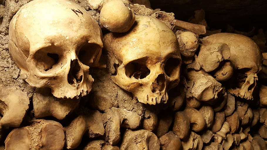 three skulls on wall, catacombs, paris, bones, cemetery, halloween