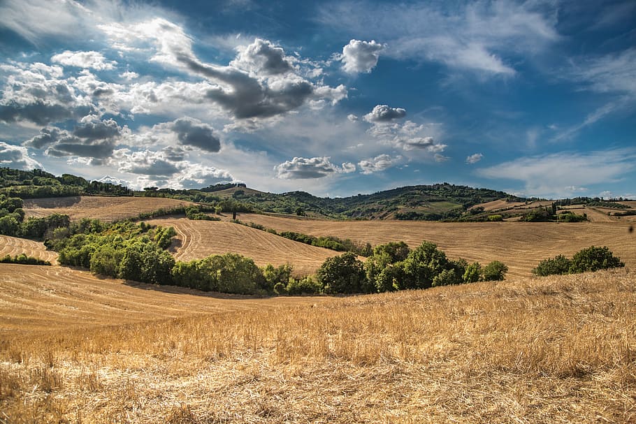 landscape photo of grass field, hill, blue sky, clouds, nature HD wallpaper