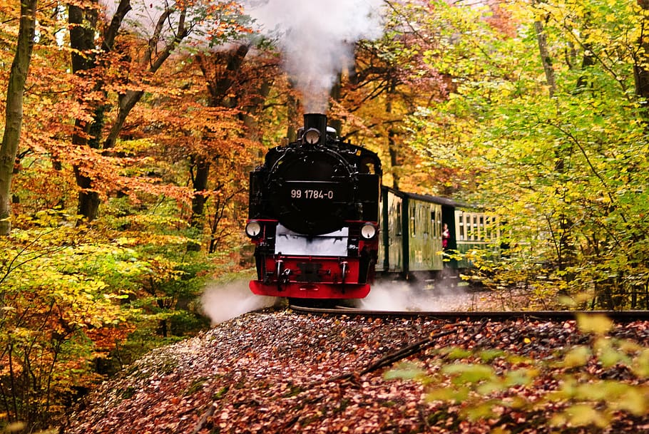 red and black train, rasender roland, rügen, railway, locomotive