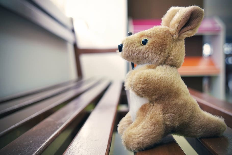 kangaroo, teddy, cute, teddy bears, stuffed toy, mammal, animal HD wallpaper
