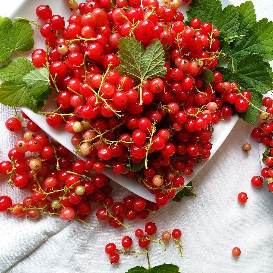 currant, red, vitamin, delicious, organic, fruit, mature, nutrition HD wallpaper