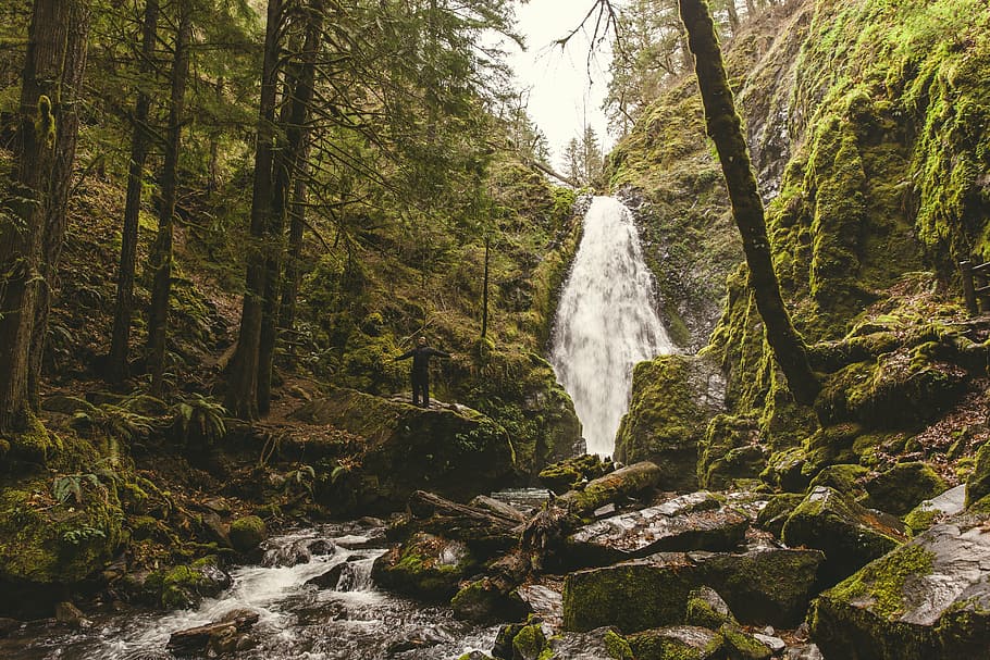 adventure, cascade, landscape, man, moss, nature, outdoors HD wallpaper
