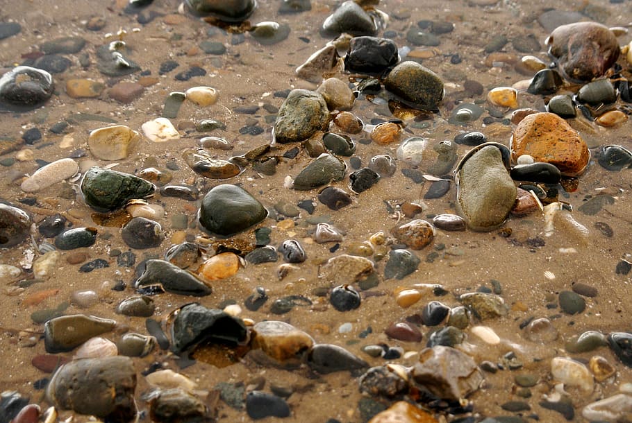 beach, pebbles, shells, water, sea, coast, shore, outdoor, coastline HD wallpaper
