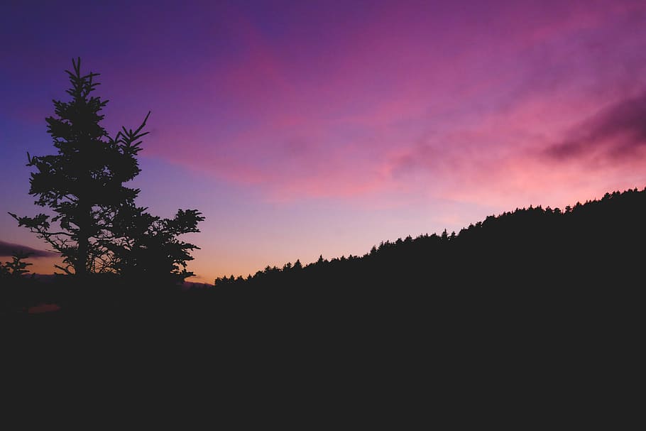 silhouette of mountain during sunset, silhouette of trees, forest HD wallpaper