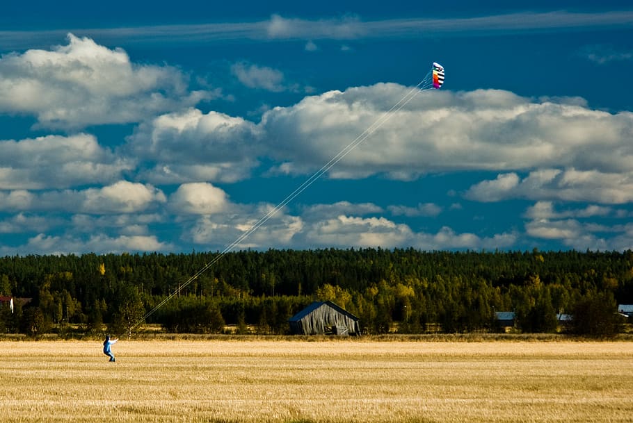 kite, field, fly, clouds, autumn, nature, rural Scene, outdoors HD wallpaper
