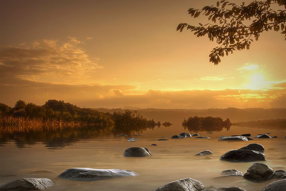 body of water near trees during golden hour, orange, sunset HD wallpaper