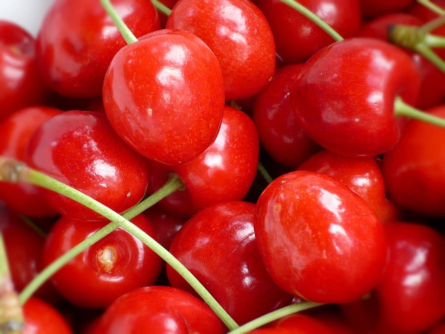 Cherries, Fruit, Tasty, Spring, red, food and drink, healthy eating HD wallpaper