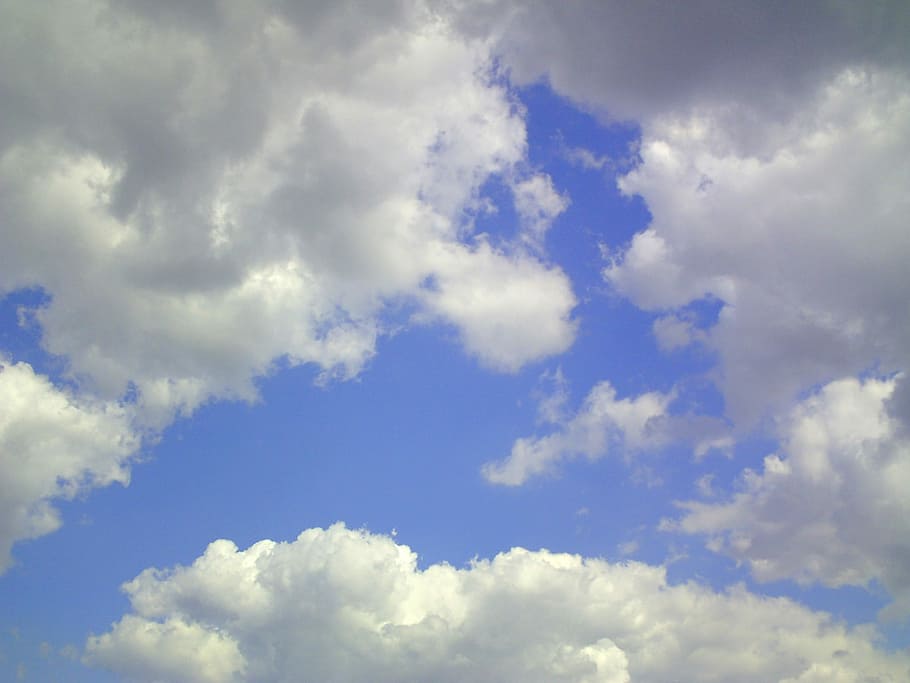 Cumulus, Clouds, Sky, Blue, august, summer, nature, sky blue HD wallpaper