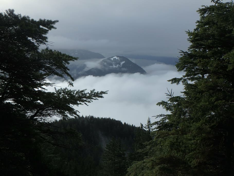 clouds, nature, scenery, forest landscape, outdoor, mountain HD wallpaper