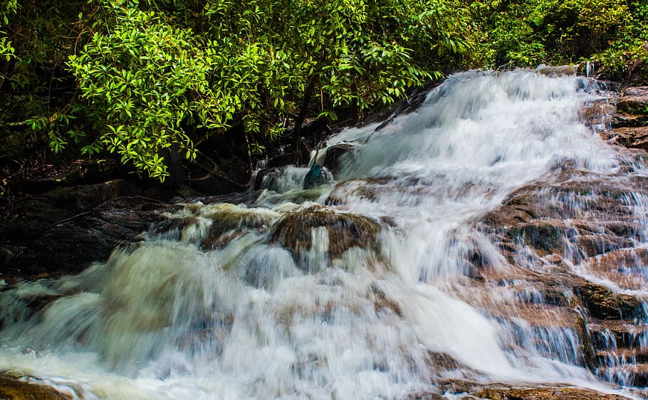 waterfall, nature, stream, river, cascade, wood, flow, landscape HD wallpaper