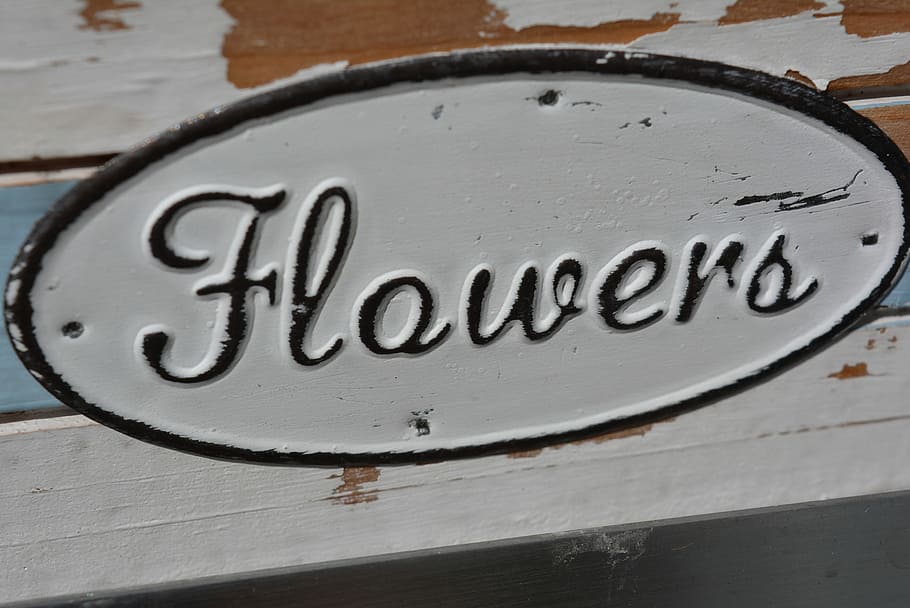 Shield, Old, Metal, Flowers, Font, worn, text, communication HD wallpaper