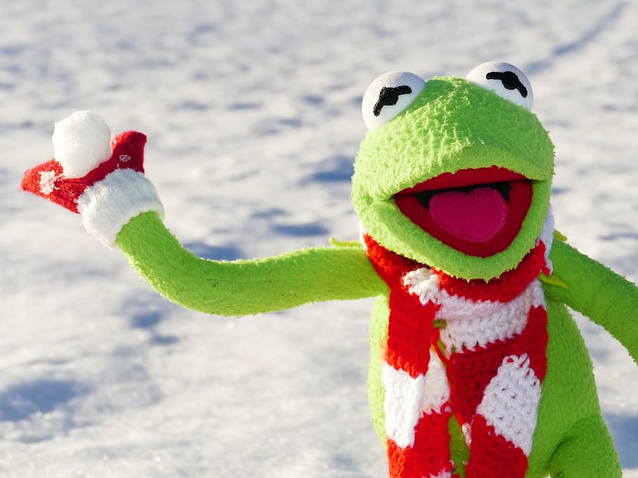 Kermit the Frog holding snowball, snow ball, throw, winter, cold