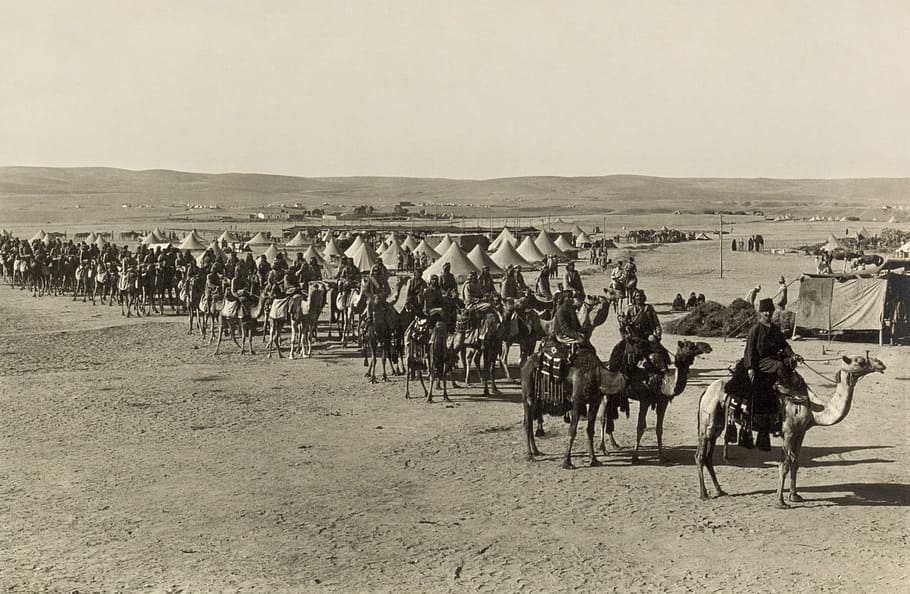 grayscale photo of people riding on camel, Caravan, Camels, Beersheba