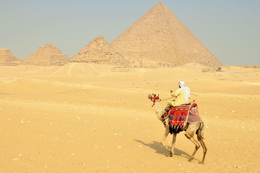 man riding camel near Pyramids of Giza in Egypt, sphinx, hieroglyphs, HD wallpaper