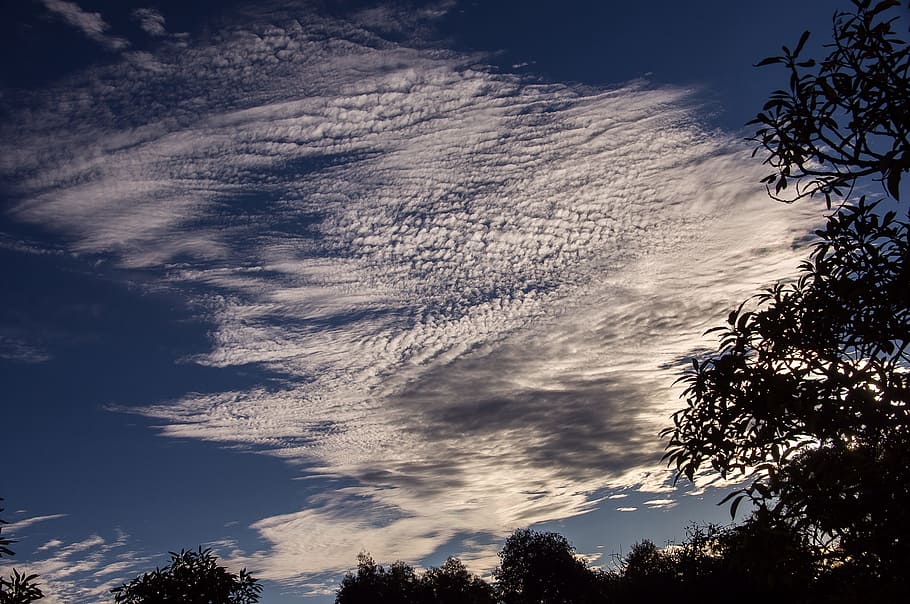 sky, clouds, sun light, blue, white, pattern, horizon, trees HD wallpaper
