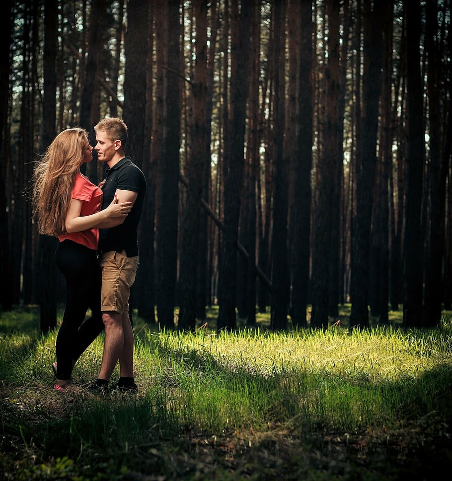 photographed of man holding woman standing near trees, arms, love, HD wallpaper