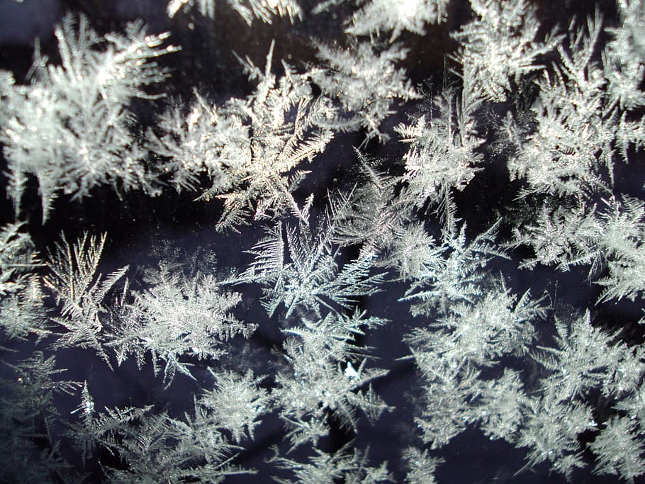 ice, crystals, frozen, cold, eiskristalle, frost, nature, hoarfrost, HD wallpaper