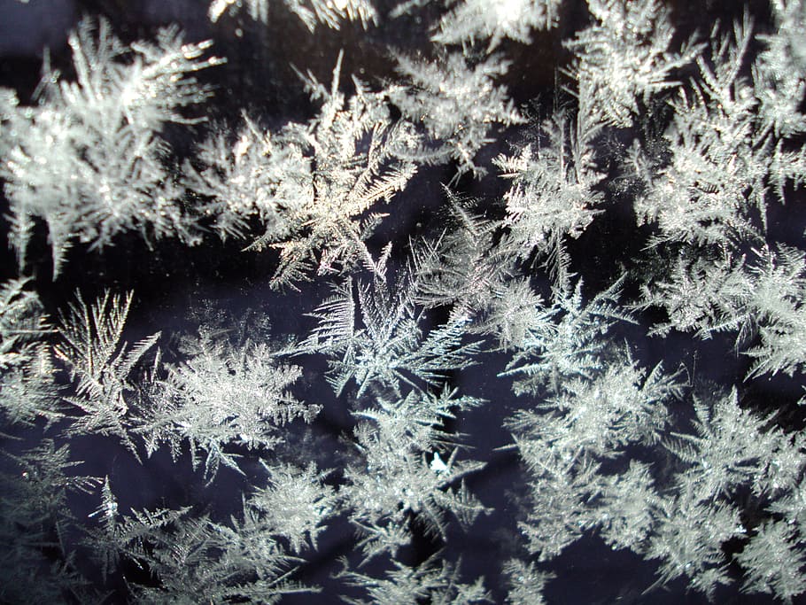 ice, crystals, frozen, cold, eiskristalle, frost, nature, hoarfrost HD wallpaper