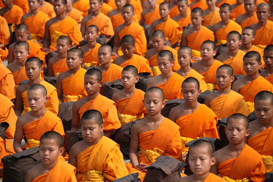 meditating monks photo, thailand, buddhists, novices, meditate