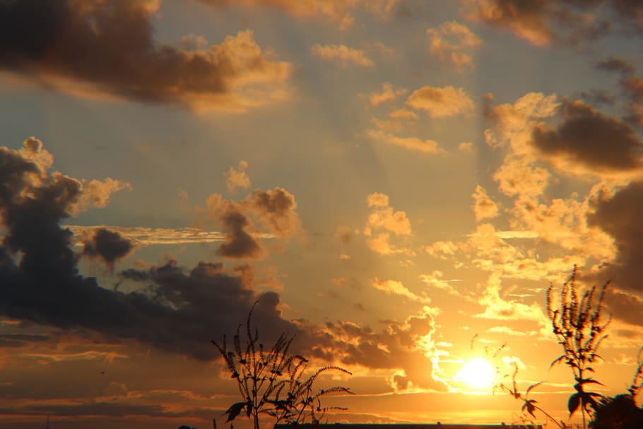sunset, trees, partly cloudy, sky, cloud - sky, beauty in nature HD wallpaper