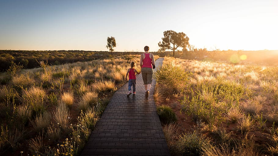 man and toddler with tank top walking on pathway between brown leaf plants during sunset, woman and boy walking on brown wooden dock HD wallpaper