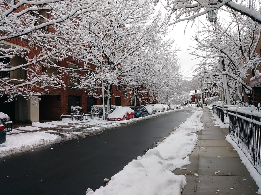 winter, snow, tree, cold, ice, cold temperature, architecture HD wallpaper