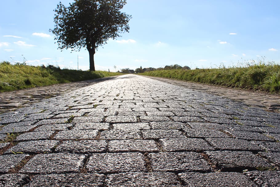road, cobblestones, tree, paving stones, away, ground, patch, HD wallpaper