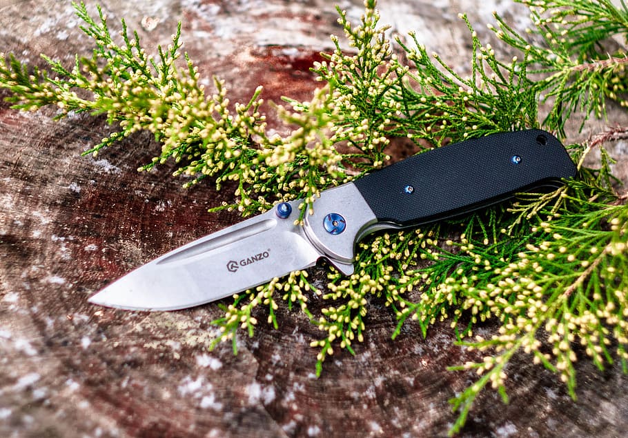 blade, close-up, cut, flora, flowers, knife, leaves, macro HD wallpaper