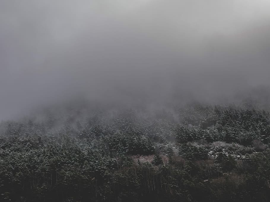 gray smoke over forest, green mountain during foggy weather, mist HD wallpaper