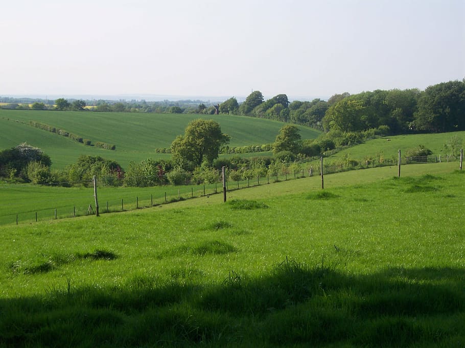 countryside, north downs, kent, sittingbourne, park, grass