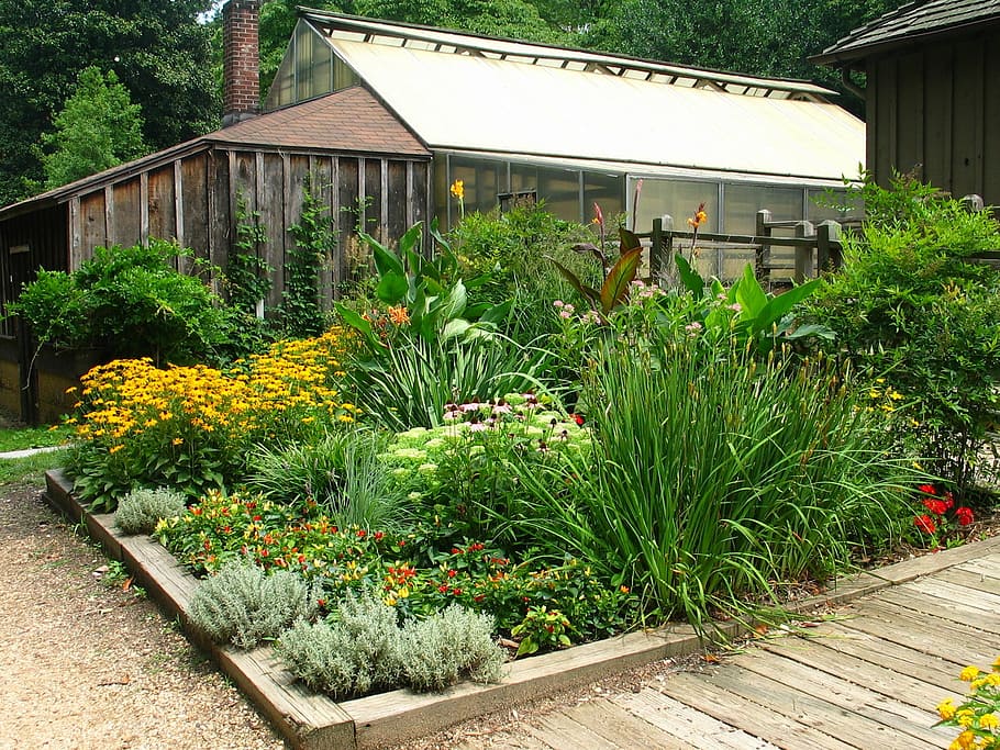 design, border, plant, flowers, nature, outdoors, architecture HD wallpaper