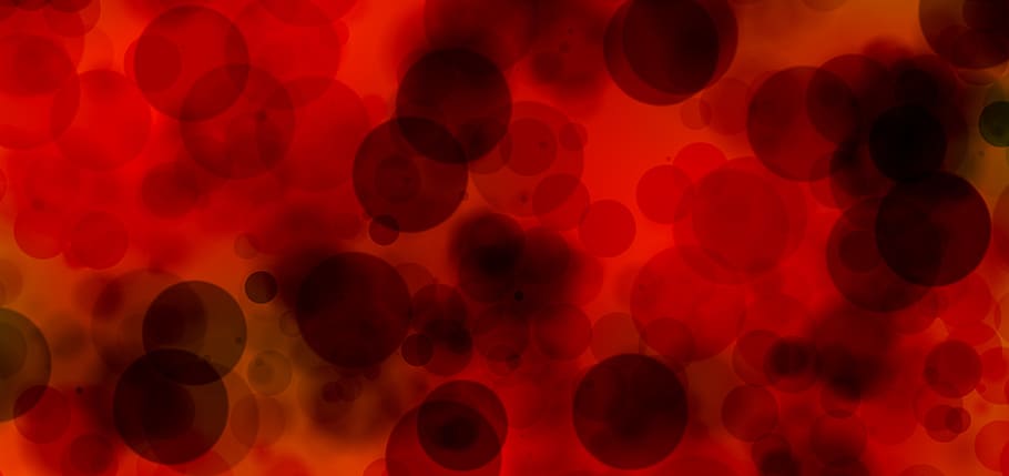 untitled, plasma, blood, blood cells, magnification, blood plasma, HD wallpaper