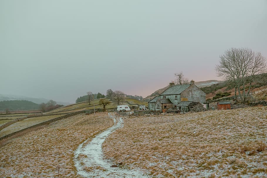 house near withered tree, gray painted house, landscape, winter HD wallpaper